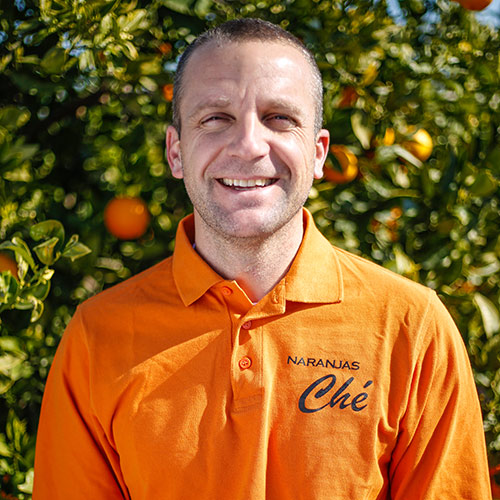 Naranjas-de-Valencia-Guillermo-Antelo