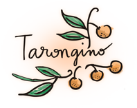 tarongino spanish orange wine