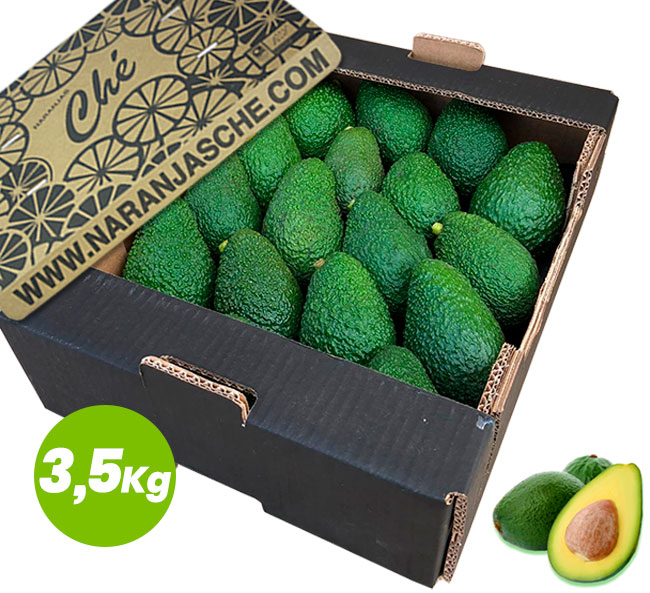 Avocado bio - 3,5Kg.