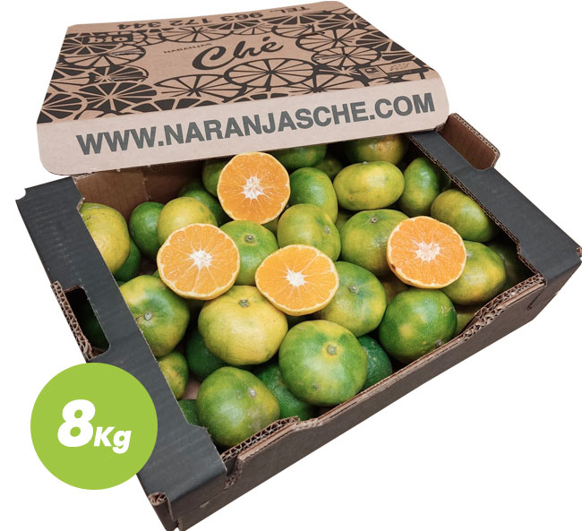 Clementines Bio Primosole - 8 Kg.