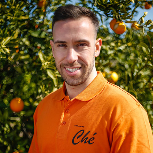 Naranjas-Ecologicas-Valencia-Jaime-Fernandez