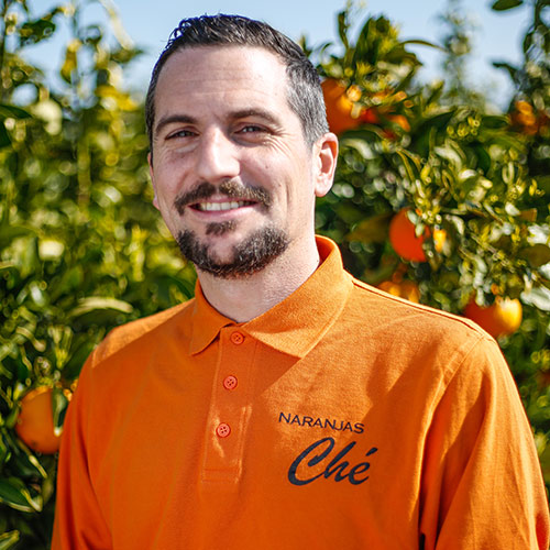 Naranjas-de-Valencia-Guillermo-Antelo