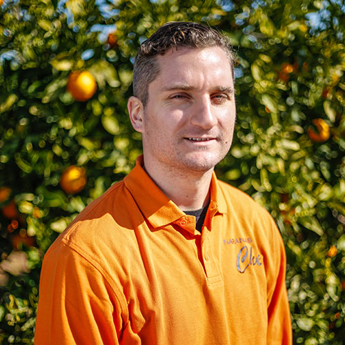 Naranjas-de-Valencia-Guillermo-Antelo